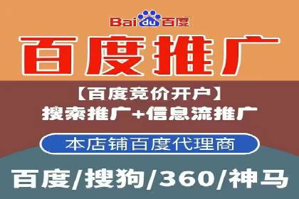 百度搜索推广实战技巧：成功案例启示录